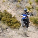 Big Bend