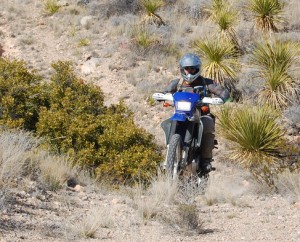 Riding in Big Bend
