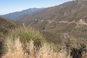 Highway 33 through the Padres National Forest