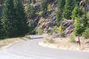 03_oregon_senic_road