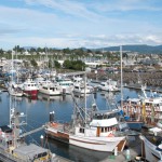 26_bellingham_commercial_marina