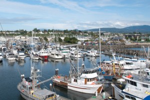 26_bellingham_commercial_marina