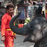 Thai Elephant Show and handler