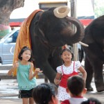 07_elephant_dancing