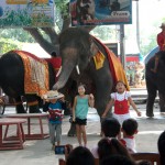 08_elephant_dancing