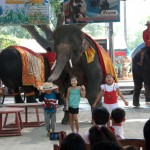 The elephants were either dancing in the background or interacting with the kids.  This one put a hat on the little boy.