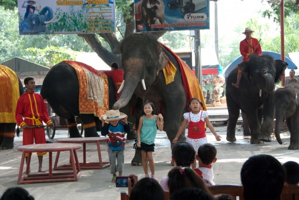 08_elephant_dancing