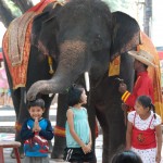 Now the elephant is patting the kid on the head