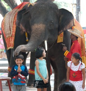 Now the elephant is patting the kid on the head
