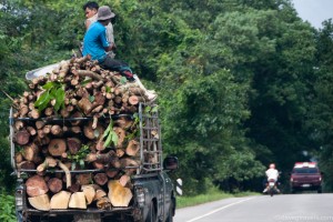 Ranong is very wooded and as a result, you see lots of lumber trucks driving around