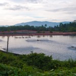 Shrimp Farm near Ranong