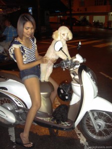 18 ranong girl with two dogs and a scooter
