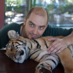 dg and sleeping tiger