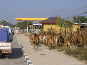 Lots of contradictive scenes, just on the opposite side of the Thai border.