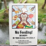 Sign – No Feeding Singapore Zoo