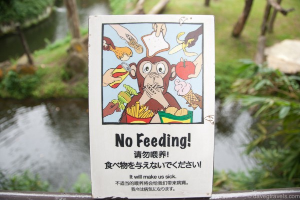 No Feeding!!!!!