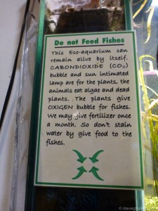 05 - Do Not Feed Fishes